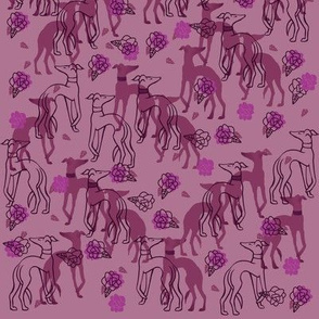 Pink Greyhounds