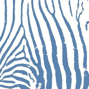 Zebra hide in blue on white