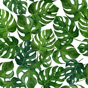 18” Monstera Palm Leaves - green on white