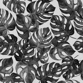 40” Monstera Leaves - monochrome Black And white