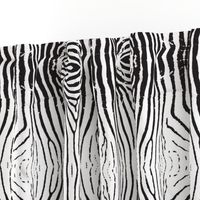 Textured zebra stripe repeat in black and white