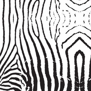 Textured zebra stripe repeat in black and white