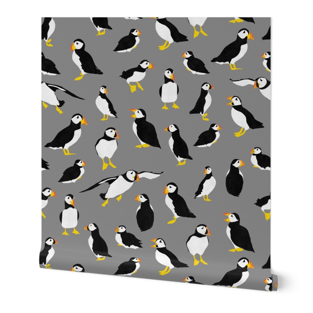 Puffins on Gray