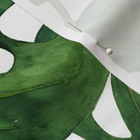 40” Jumbo Monstera Palm Leaves - green on white