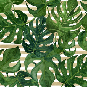 27” monstera palm leaves green on gold stripes