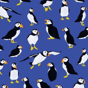 Puffins on Blue