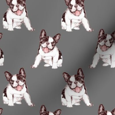 Custom Happy French Bulldog on Gray