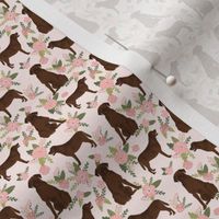 MICRO labrador retriever chocolate lab pet quilt d quilt floral coordinates dog fabric 