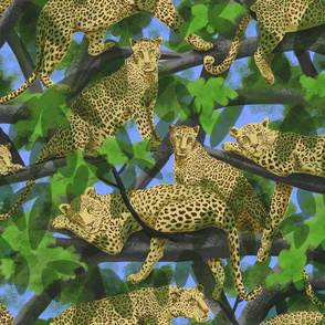 Lazy Leopards