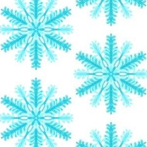 Frosty Stars on Snowy White