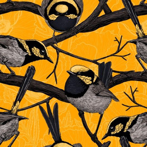 Fairy wrens on yellow