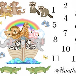 Noahs Ark Baby Month Blanket