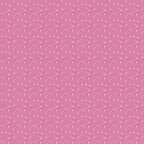 Hawaii scatter pink