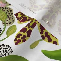 ANIMAL PRINT ORCHIDS white