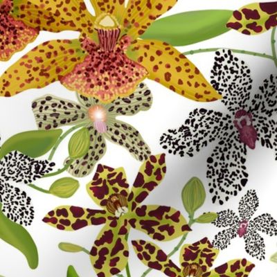 ANIMAL PRINT ORCHIDS white