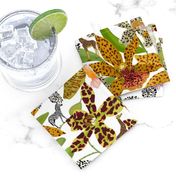 ANIMAL PRINT ORCHIDS white