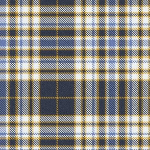 Bluegray Blue White and Gold Plaid