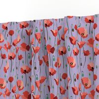 Poppy Field Blooming2