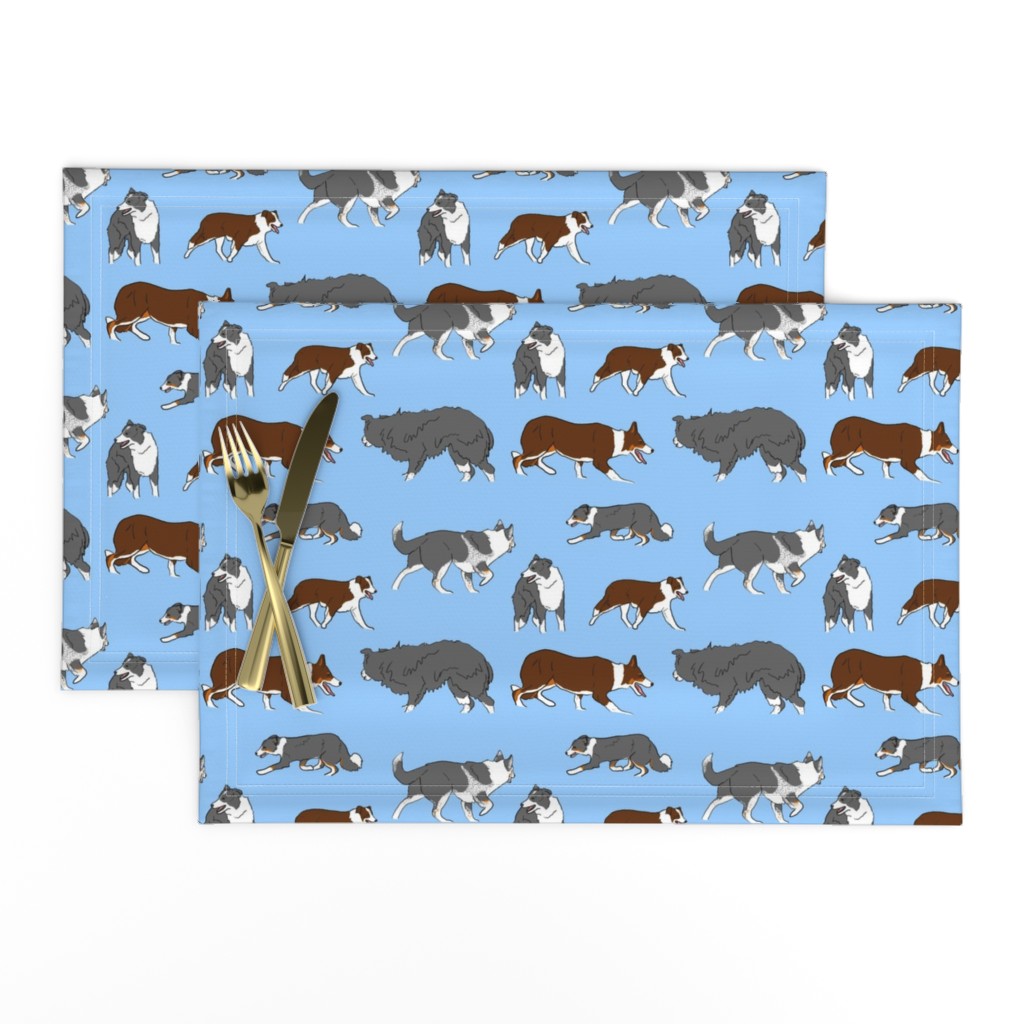 Herd of working Border Collies - blue