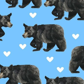 Black Bears with Hearts on Blue