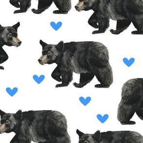 Black Bears with Blue Hearts