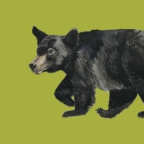 Black Bear Repeat on Green