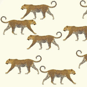 Leopards in cream