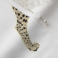 Leopards in white (large)