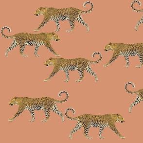 Leopards in coral