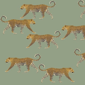 Leopards in sage green