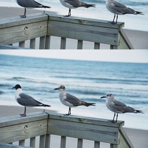 THREE VISITORS--PLACEMATS