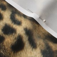 Jaguar Fur