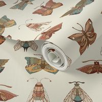 Moth and Butterfly Wing Print