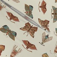 Moth and Butterfly Wing Print