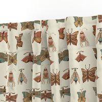 Moth and Butterfly Wing Print