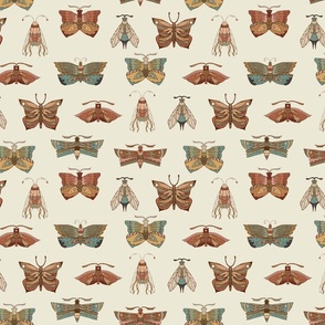 Moth and Butterfly Wing Print