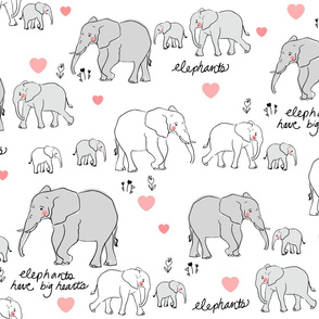 Elephants Have Big Hearts