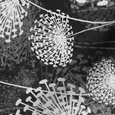 vintage Dandelions BW rotated