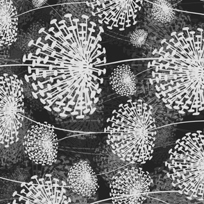 vintage Dandelions BW rotated