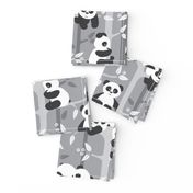 panda forest - gray