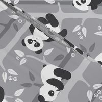 panda forest - gray