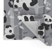 panda forest - gray