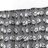 Pandas on gray