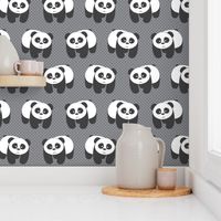 Pandas on gray