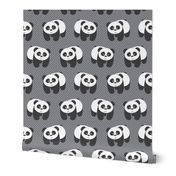 Pandas on gray