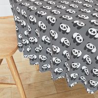 Pandas on gray