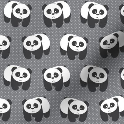 Pandas on gray