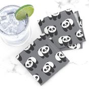 Pandas on gray