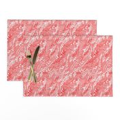 Winter Coral Berries | Coral, Pink, White