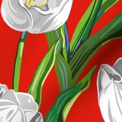 Big White Tulips + Babys Breath | Red